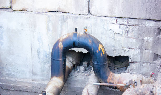 Best Basement water damage restoration  in Villas, FL