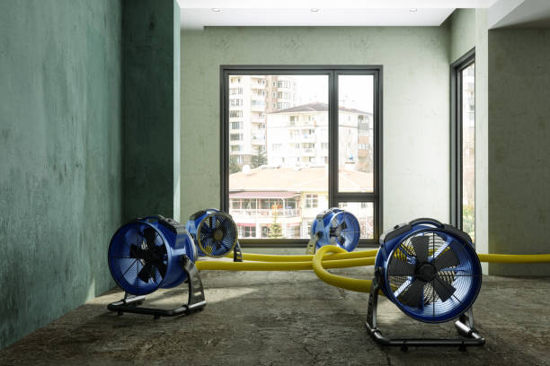 Best Carpet water damage restoration  in Villas, FL